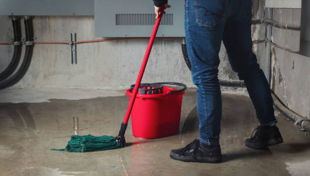 Best Local water damage restoration  in Jerseyvle, IL