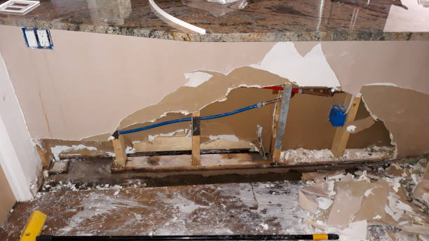 Water damage restoration mold remediation in Jerseyville, IL