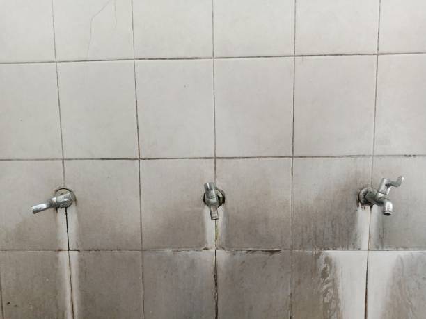 Best Water damage cleanup near me  in Jerseyvle, IL