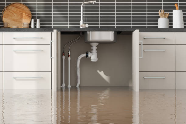 Best 24-hour water damage restoration  in Jerseyvle, IL